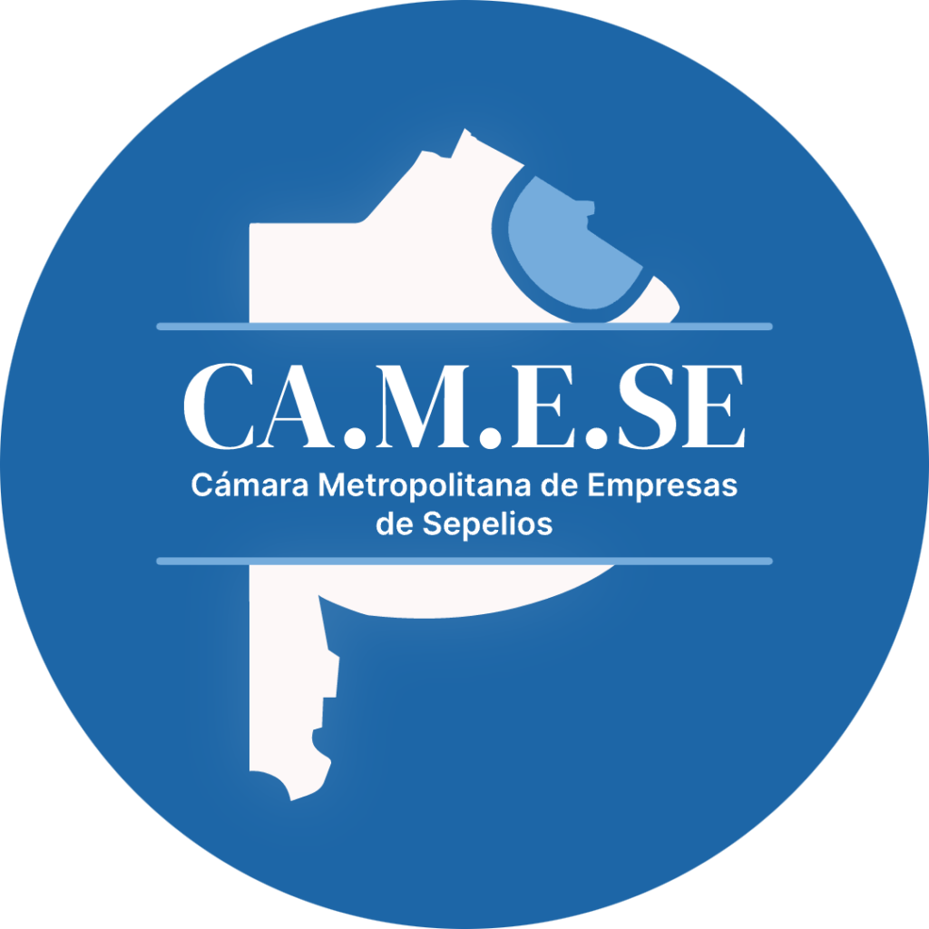 logo de camese