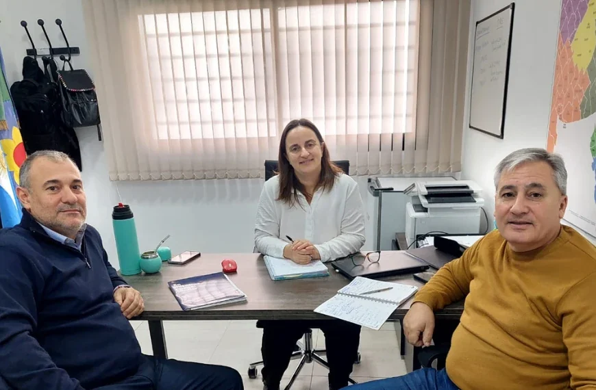 reglamentación para furgones sanitarios funerarios