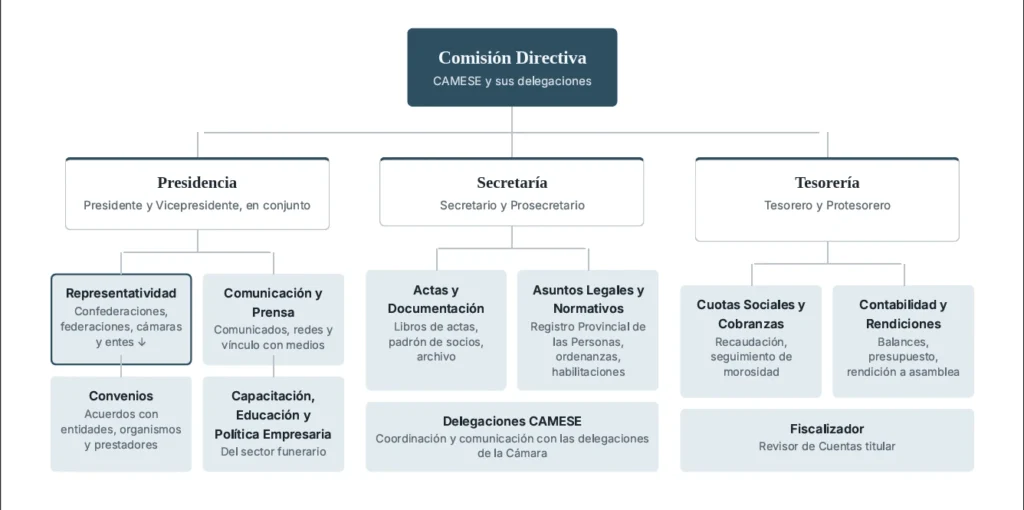 Organigrama institucional de CAMESE