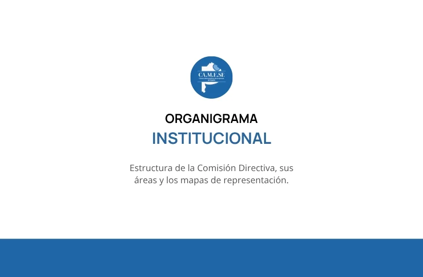 Organigrama institucional de CAMESE